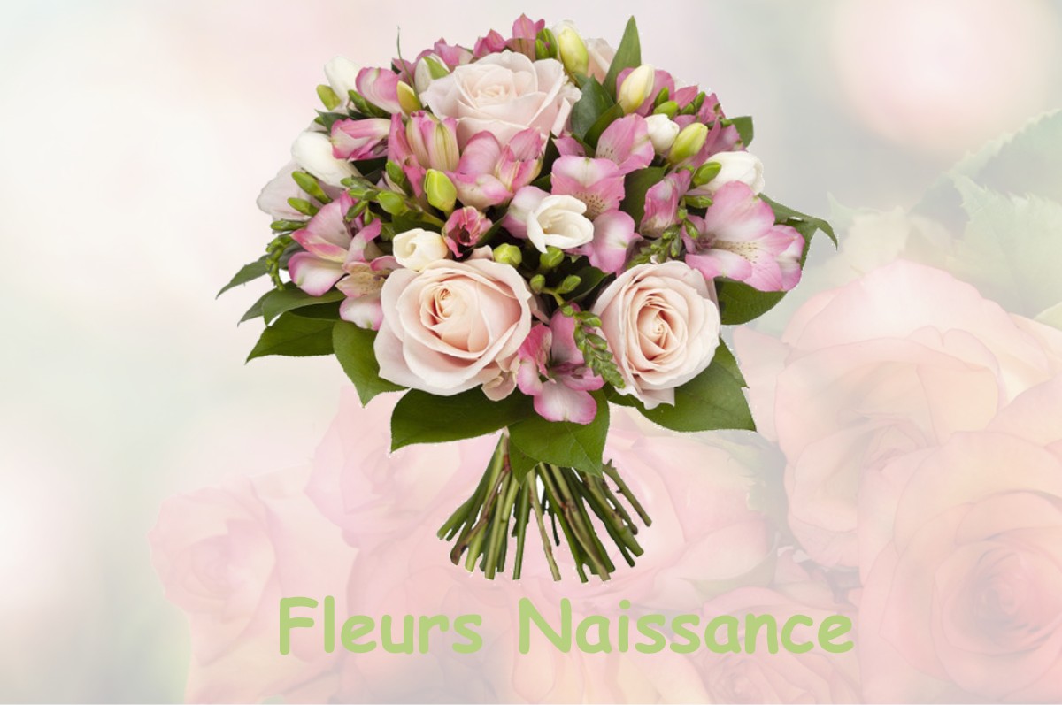 fleurs naissance BOISSEAUX