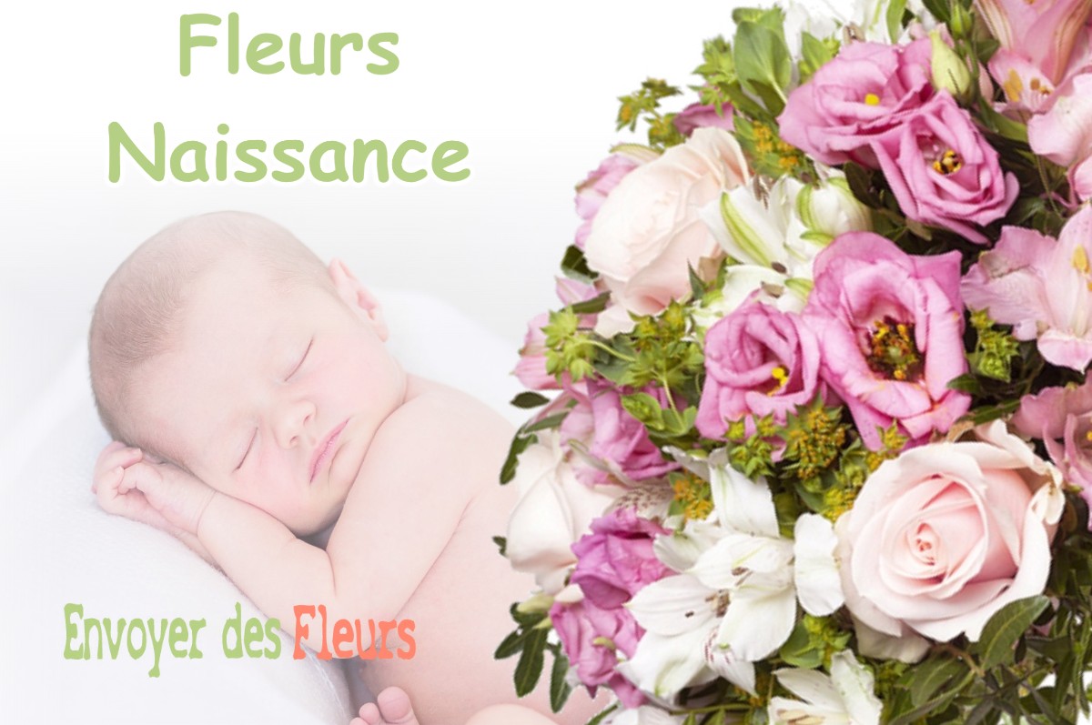 lIVRAISON FLEURS NAISSANCE à BOISSEAUX